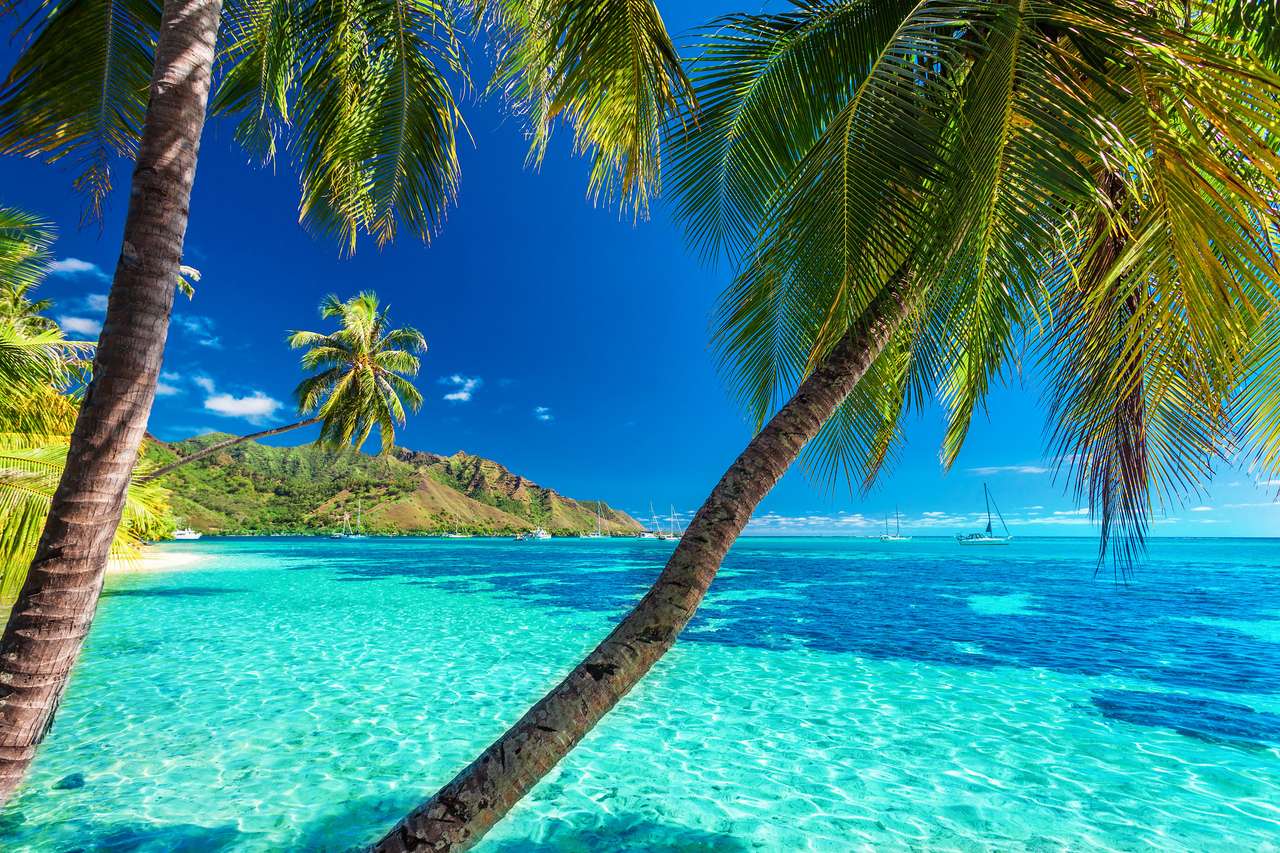 Tropisk strand, Tahiti ö pussel på nätet