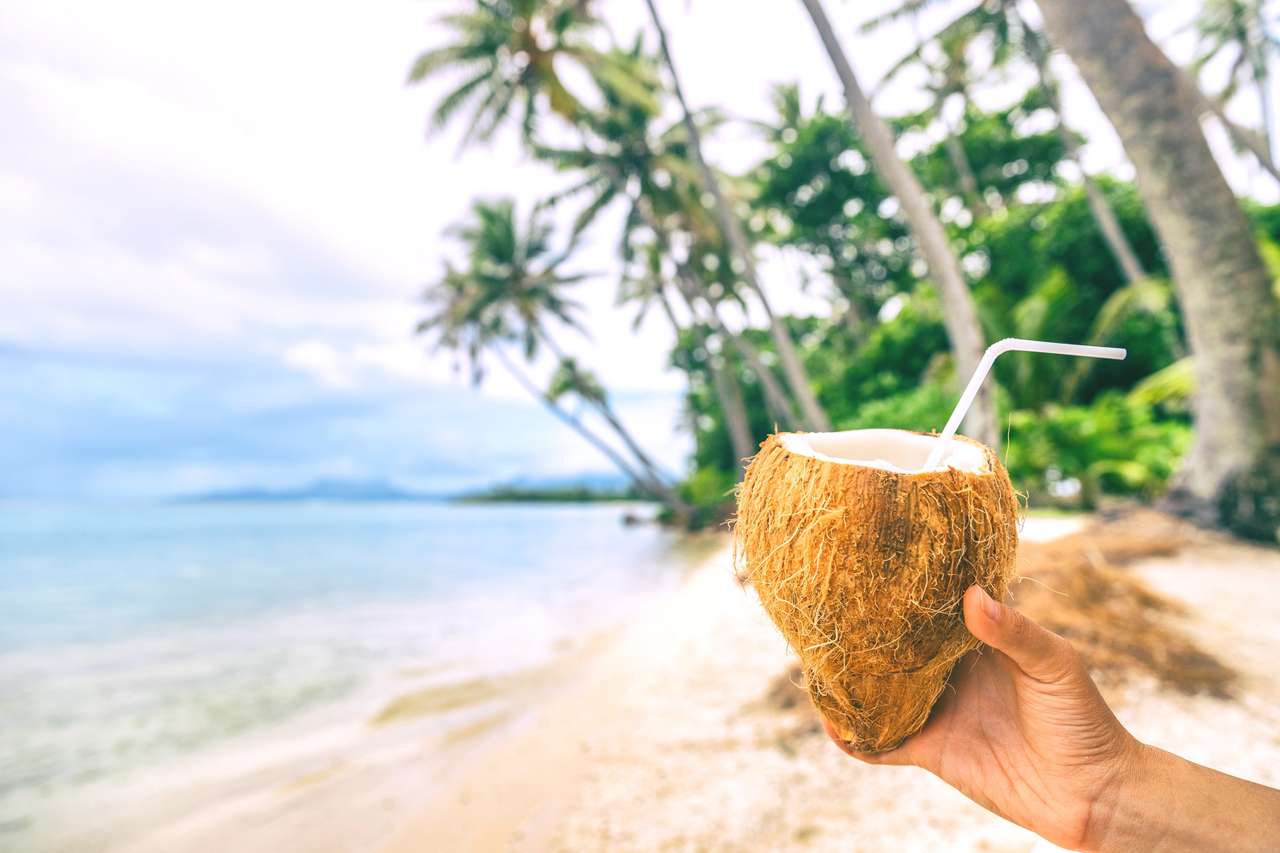 Свіжа кокосова вода онлайн пазл
