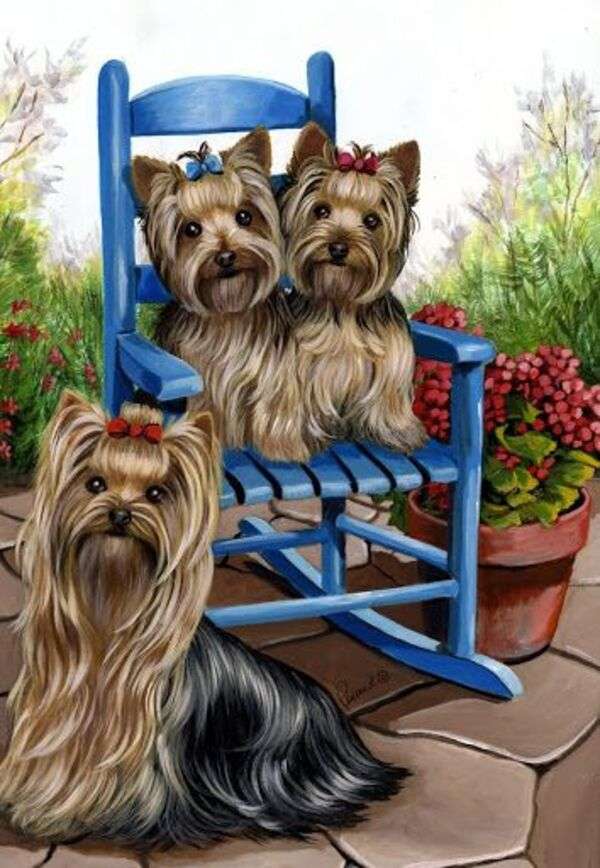 Three very cute puppies jigsaw puzzle online