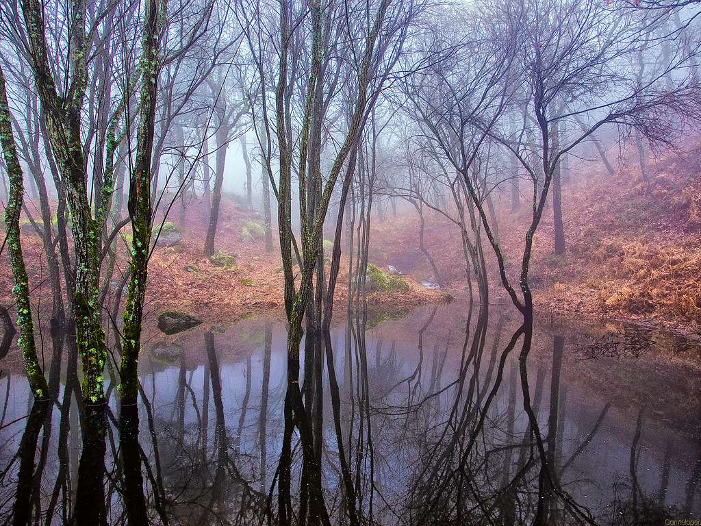 JEZERO SE ZÁPADEM SLUNCE skládačky online