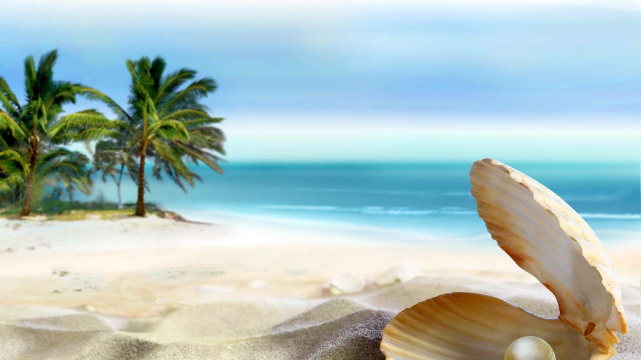 Μαργαριτάρι στην παραλία, άμμος και θάλασσα παζλ online