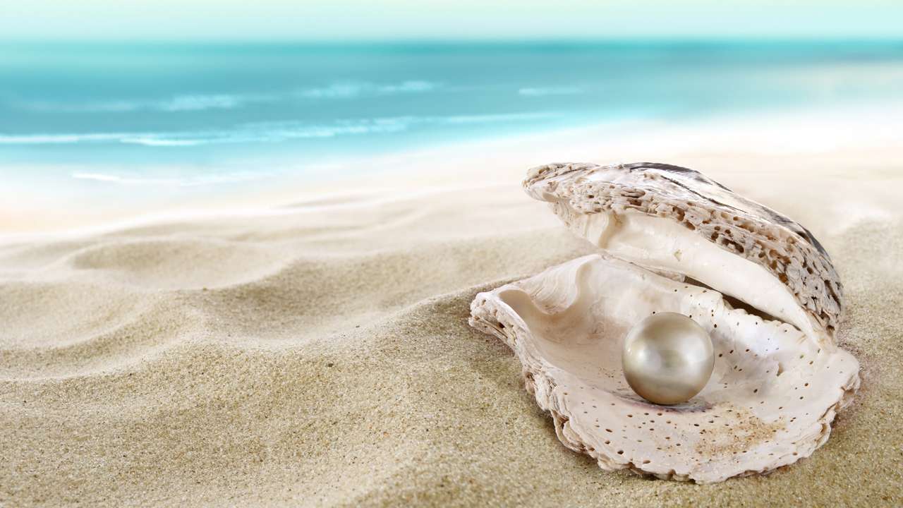 Hermosa perla en el mar rompecabezas en línea