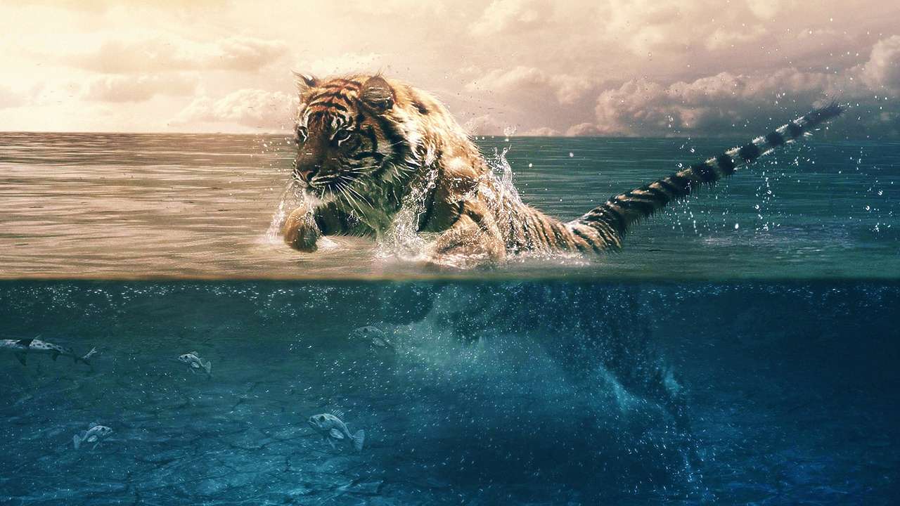 Tigre correteando en el agua rompecabezas en línea