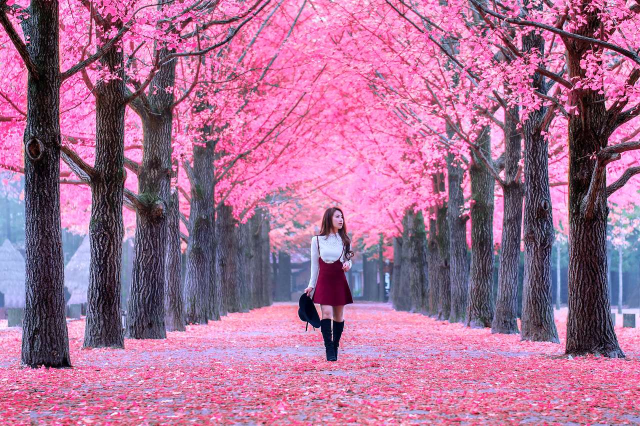 Schönes Mädchen mit rosa Blättern in Nami Island, Südkorea. Puzzlespiel online
