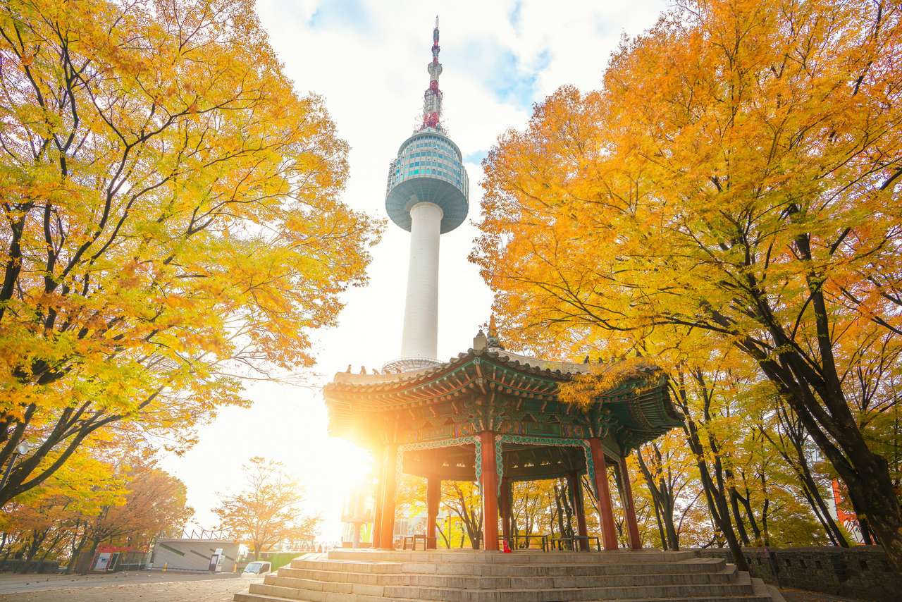 Сеульская башня, город Сеул онлайн-пазл