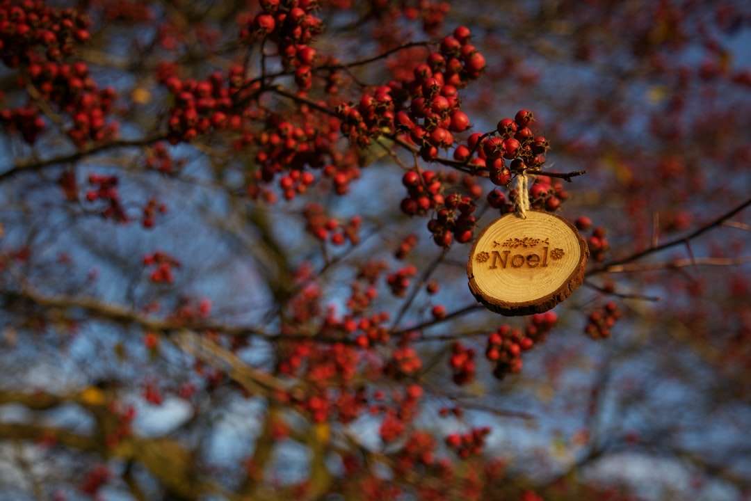 kerek barna Noel függő dekoráció piros gyümölcsöknél online puzzle