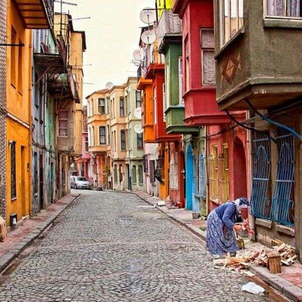 Fermă în Istanbul, Turcia - Arta # 4 puzzle online