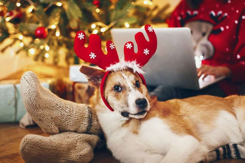 doggy festosamente puzzle online