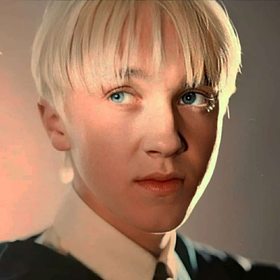 Draco Malfoy online puzzle