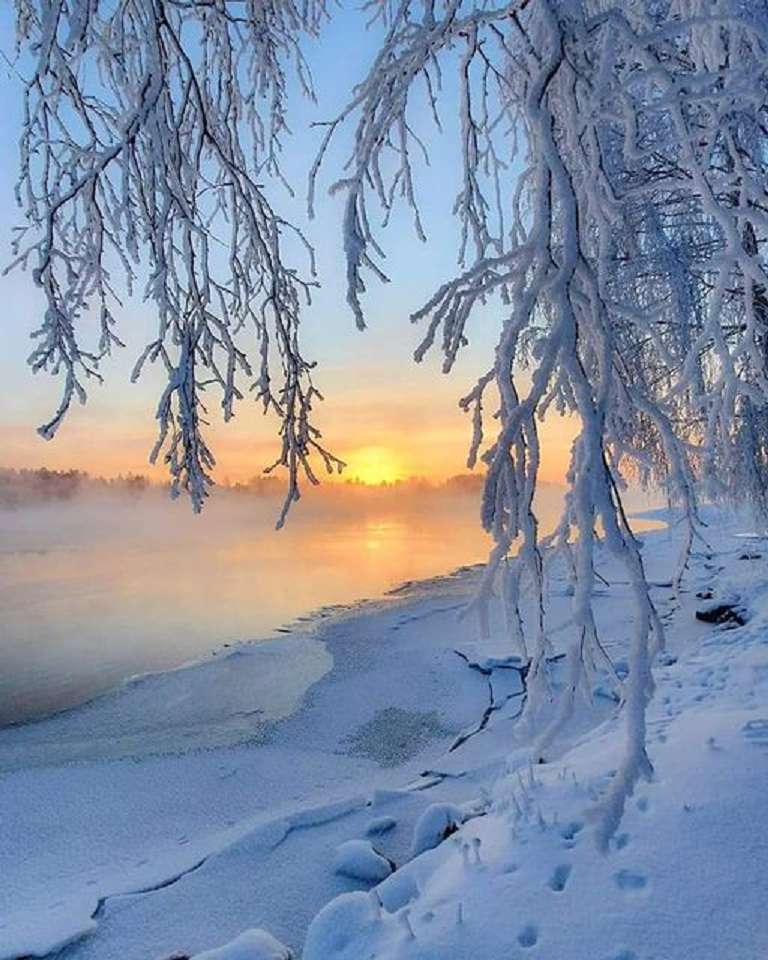 Vinterns skönhet. pussel på nätet