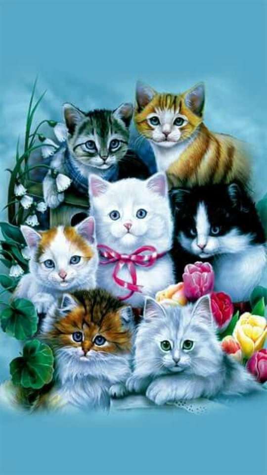 Zeven dierbare kittens poseren voor een foto online puzzel