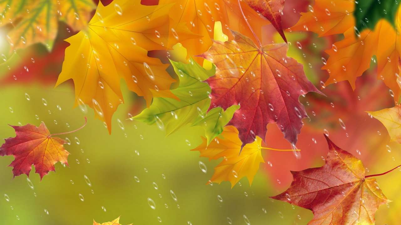 дъждовни капки през есента онлайн пъзел