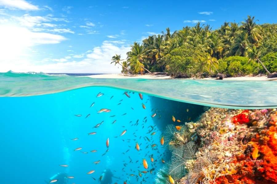 Сейшельські острови та Індійський океан пазл онлайн