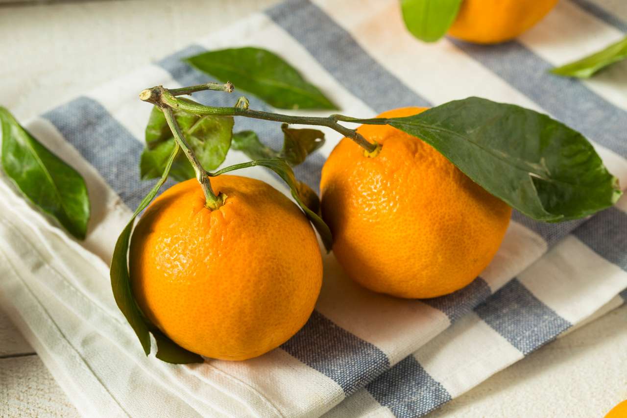 Сацума Мандарины Апельсины пазл онлайн