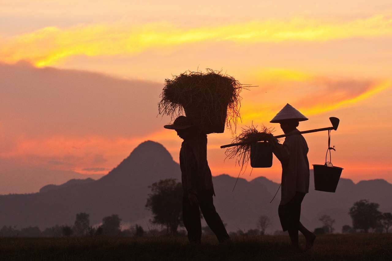 Thajští farmáři skládačky online