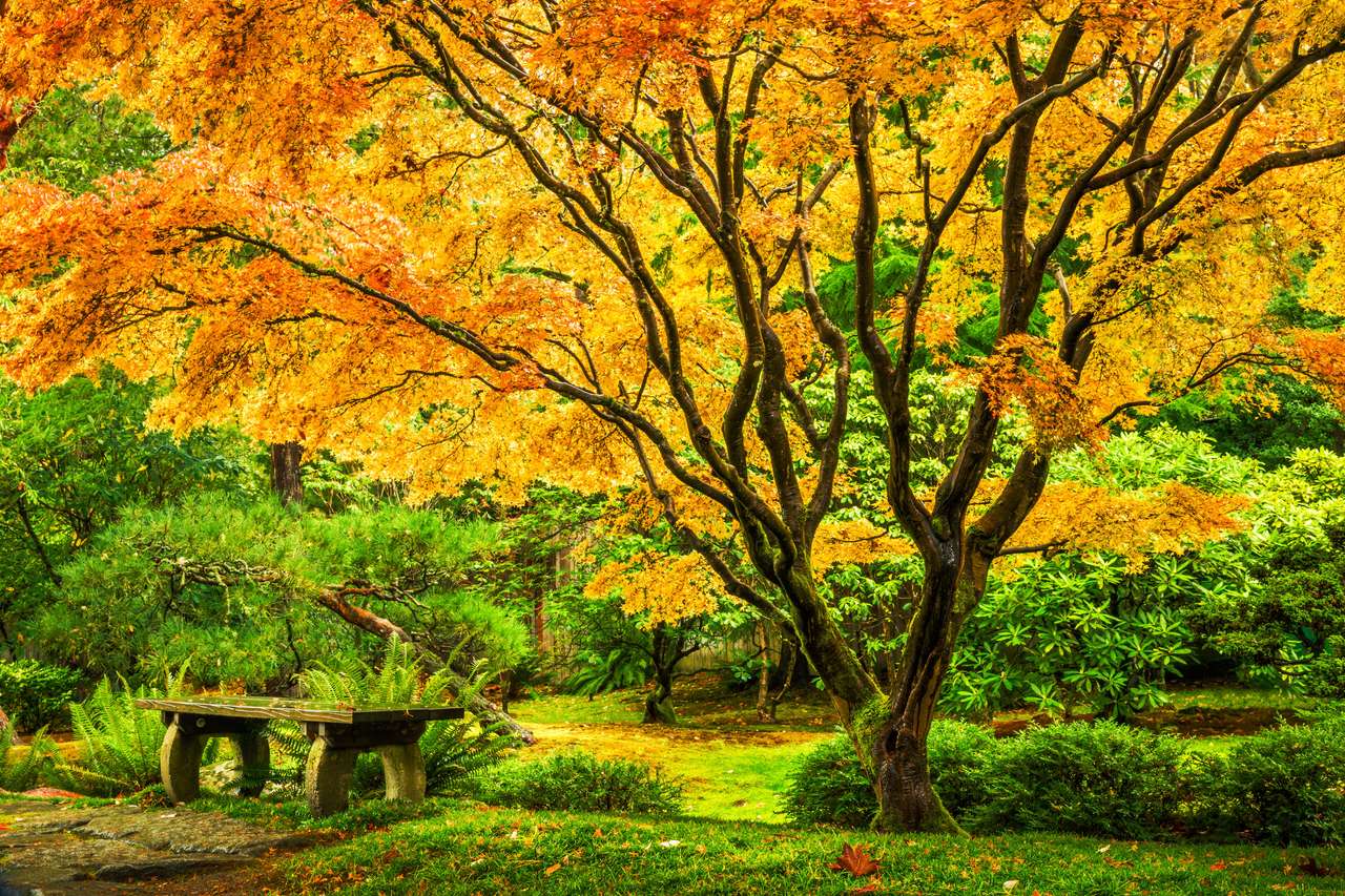 Japanese maple tree online puzzle