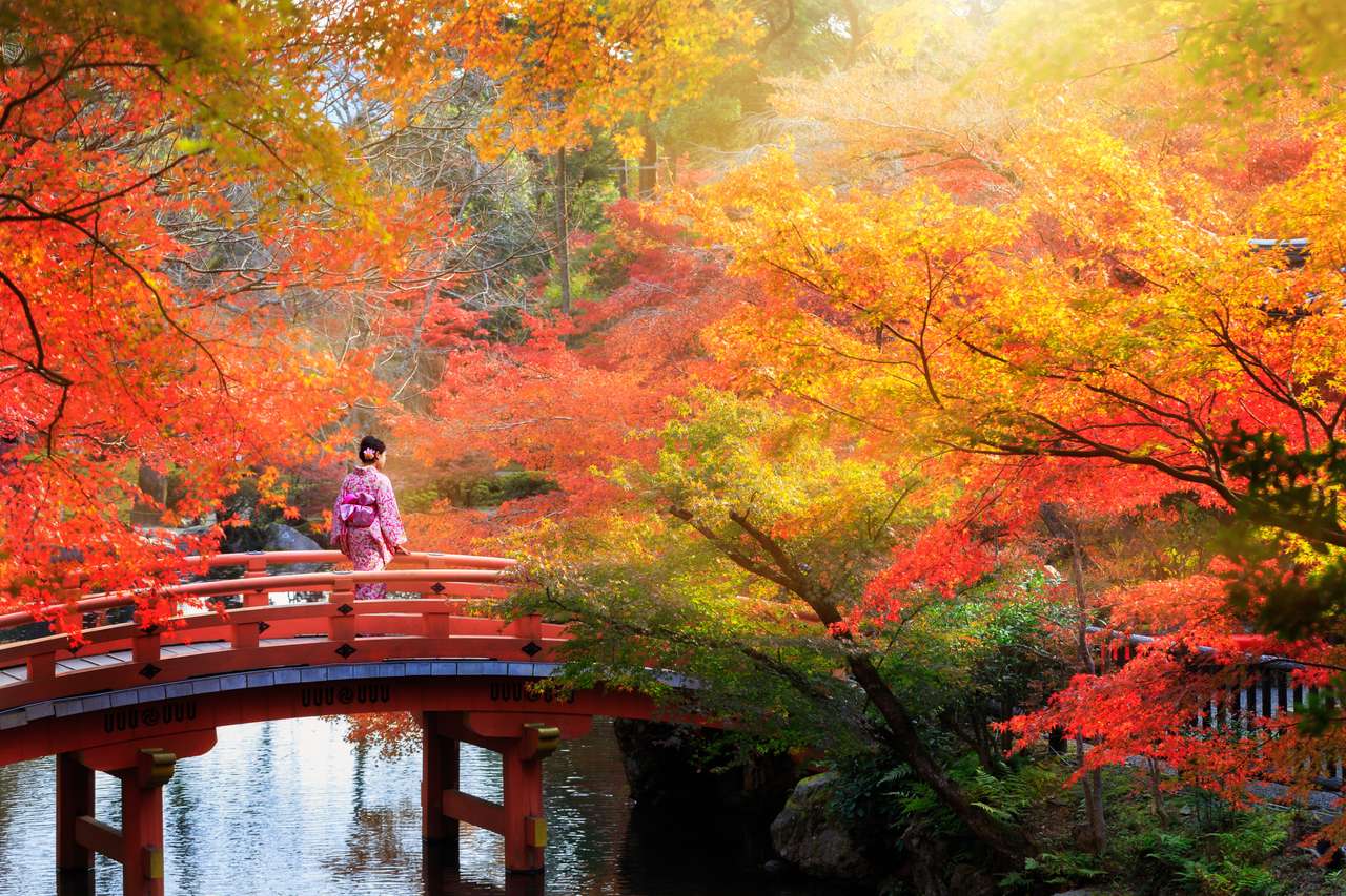 Ponte de madeira no parque outono, Japão quebra-cabeças online