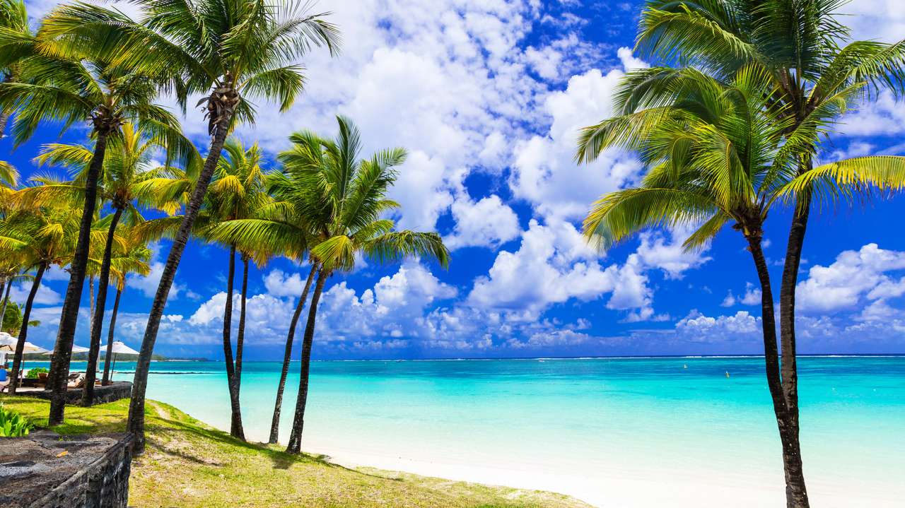 Plaje cu palmieri tropicali ale insulei Mauritius puzzle online