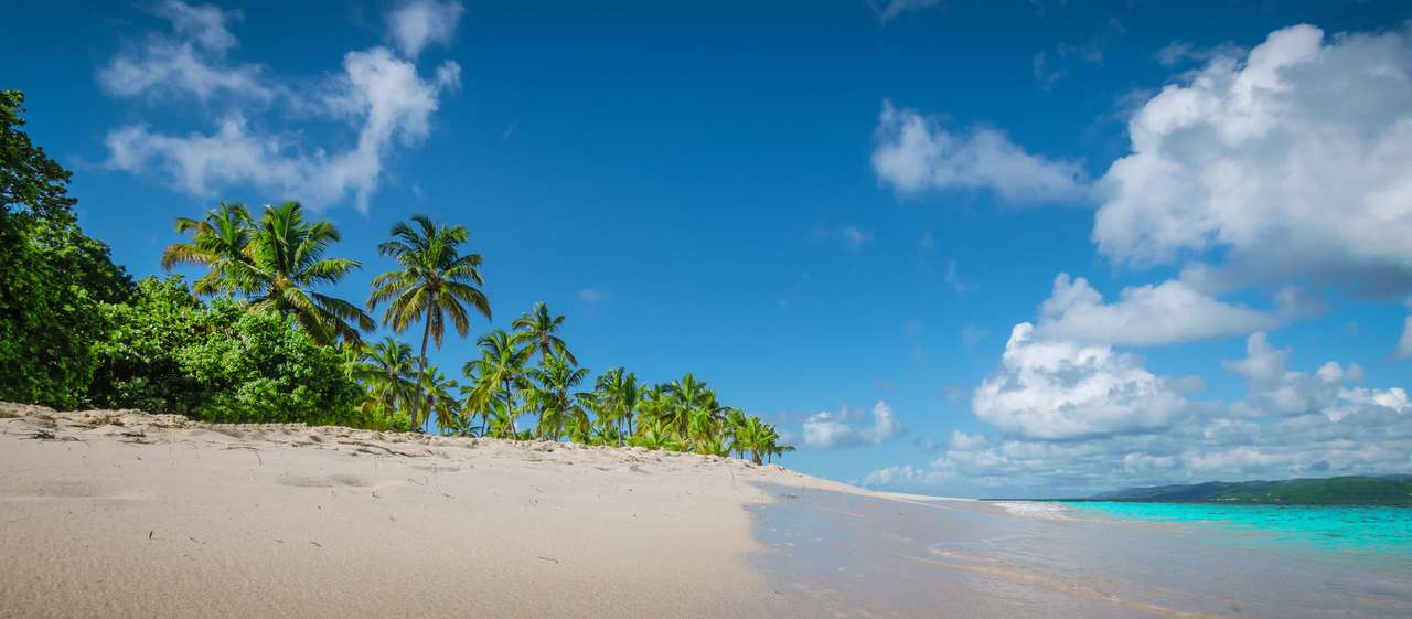 Panoramablick auf den Strand auf der Karibikinsel Puzzlespiel online