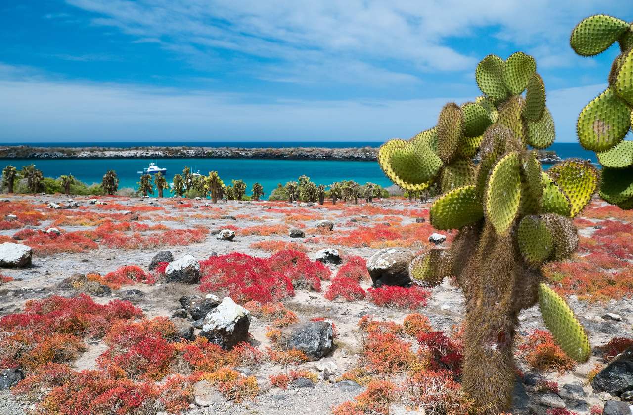 Νησί Galapagos South Plaza παζλ online