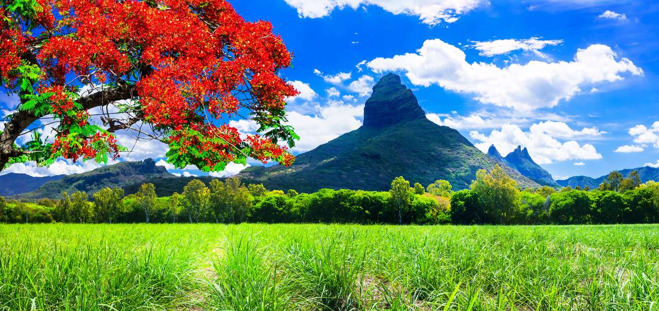 Mauritius eiland online puzzel