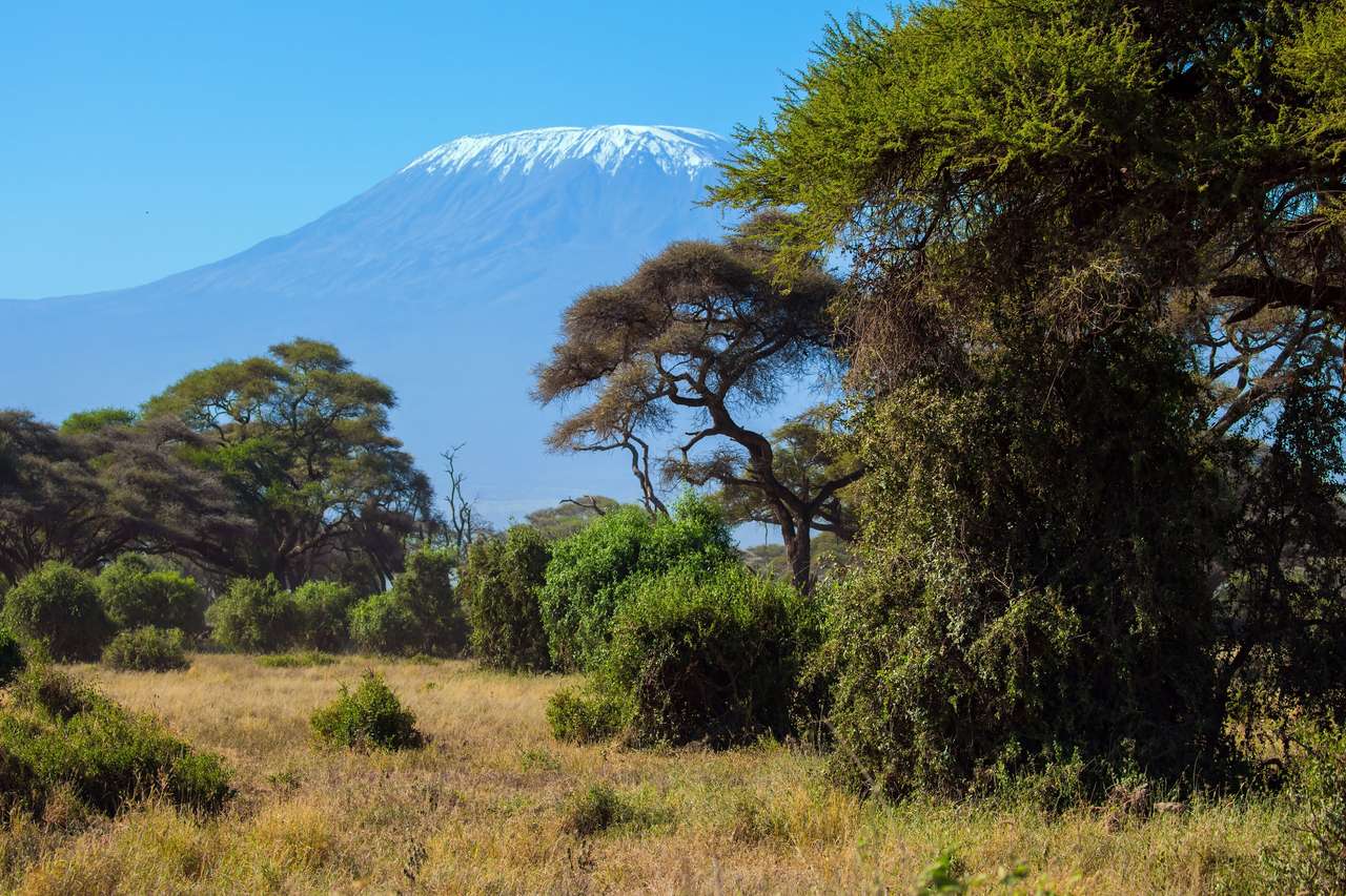 Amboseli Park, Kenya pussel på nätet