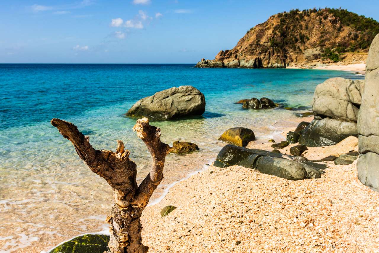 カリブ海の聖バルタ島 ジグソーパズルオンライン