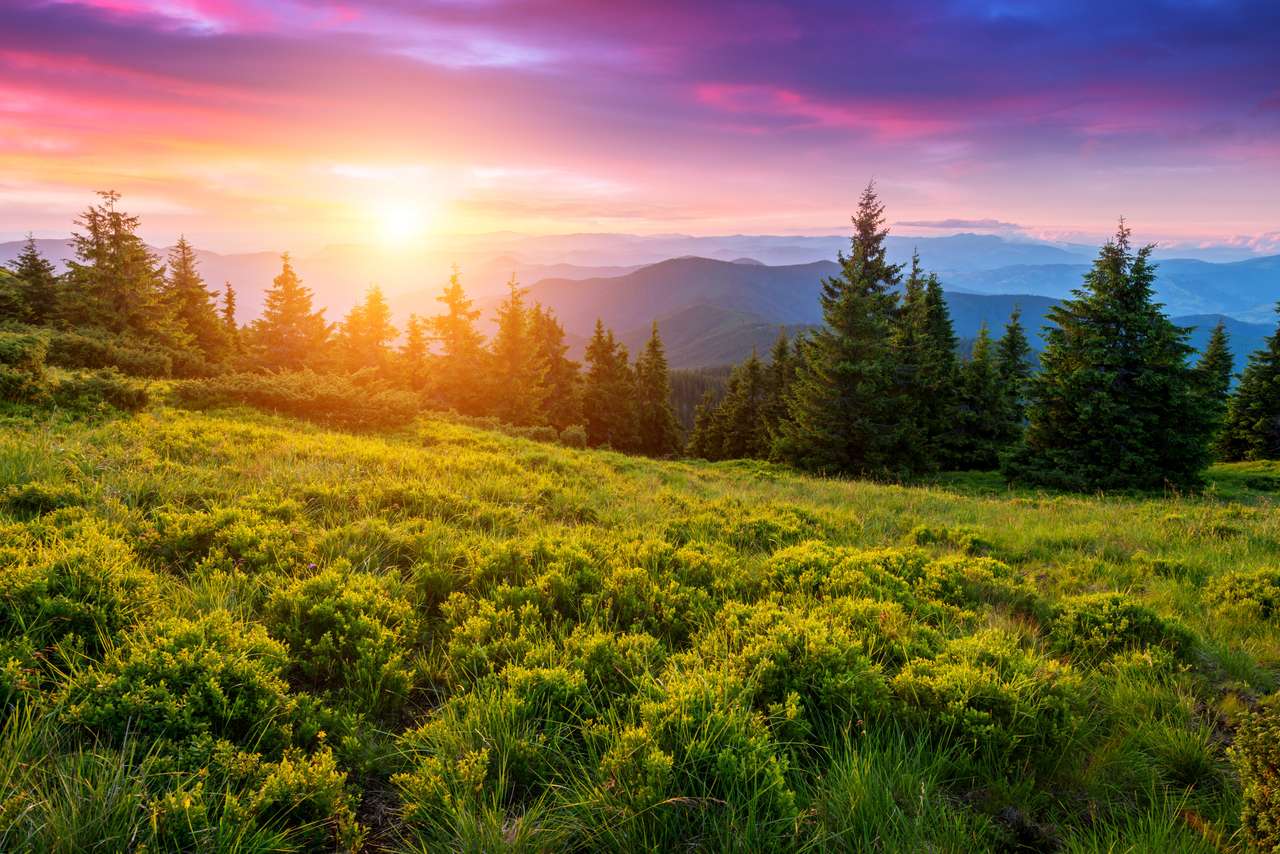 Carpathians mountain in summer time jigsaw puzzle online