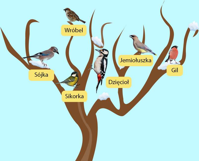 птици през зимата онлайн пъзел
