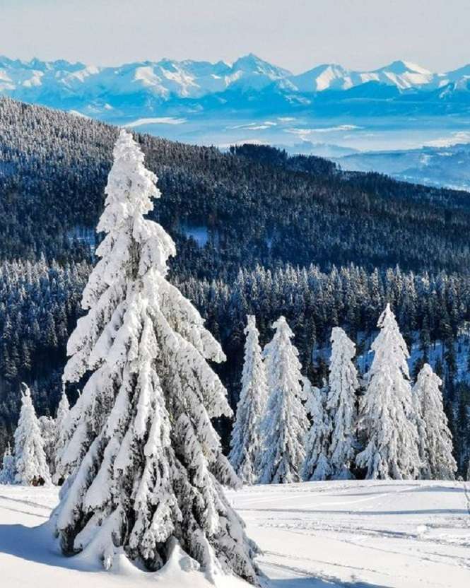 Uitzicht op het Tatra-gebergte. legpuzzel online