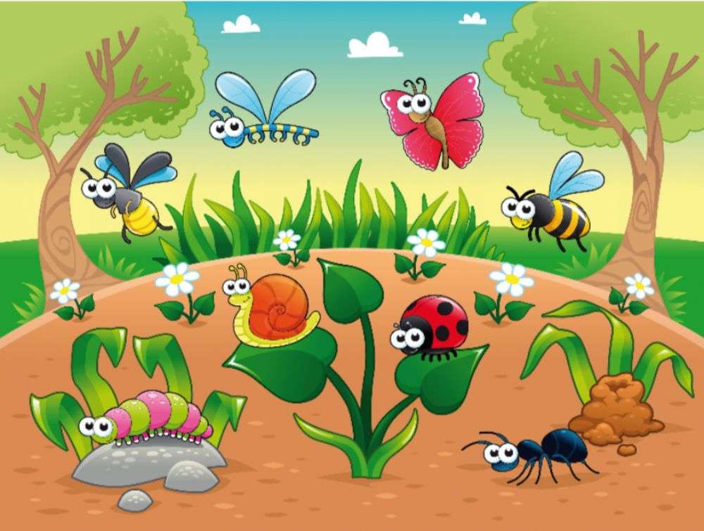 OUR INSECTS online puzzle