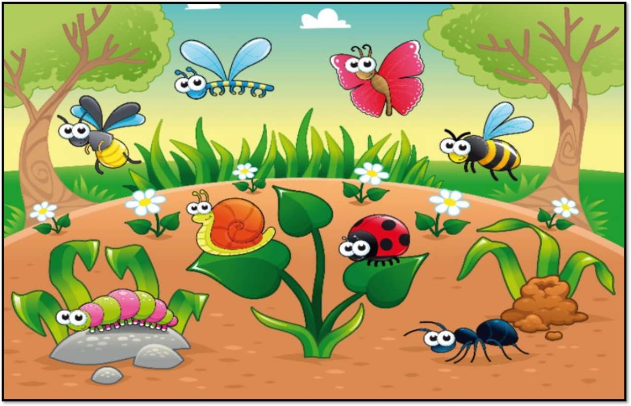 INSECTE MINUTE jigsaw puzzle online