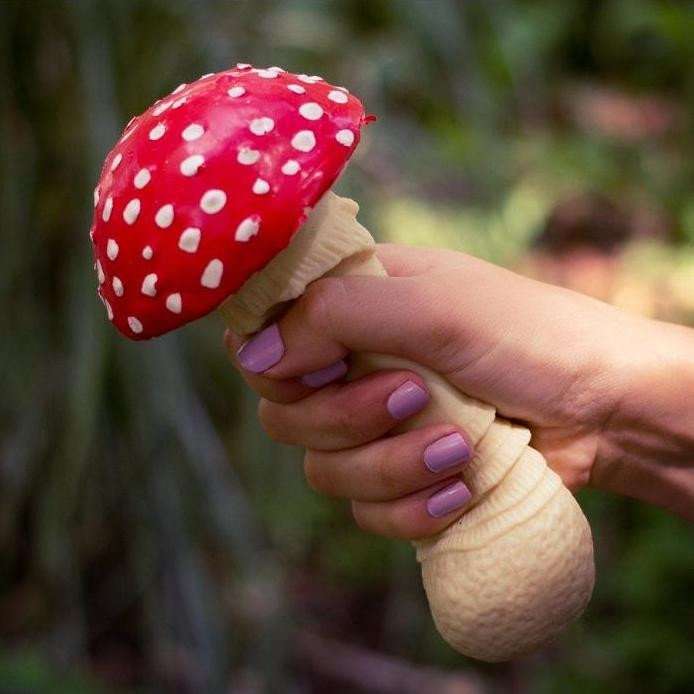 Antistress toadstool jigsaw puzzle online