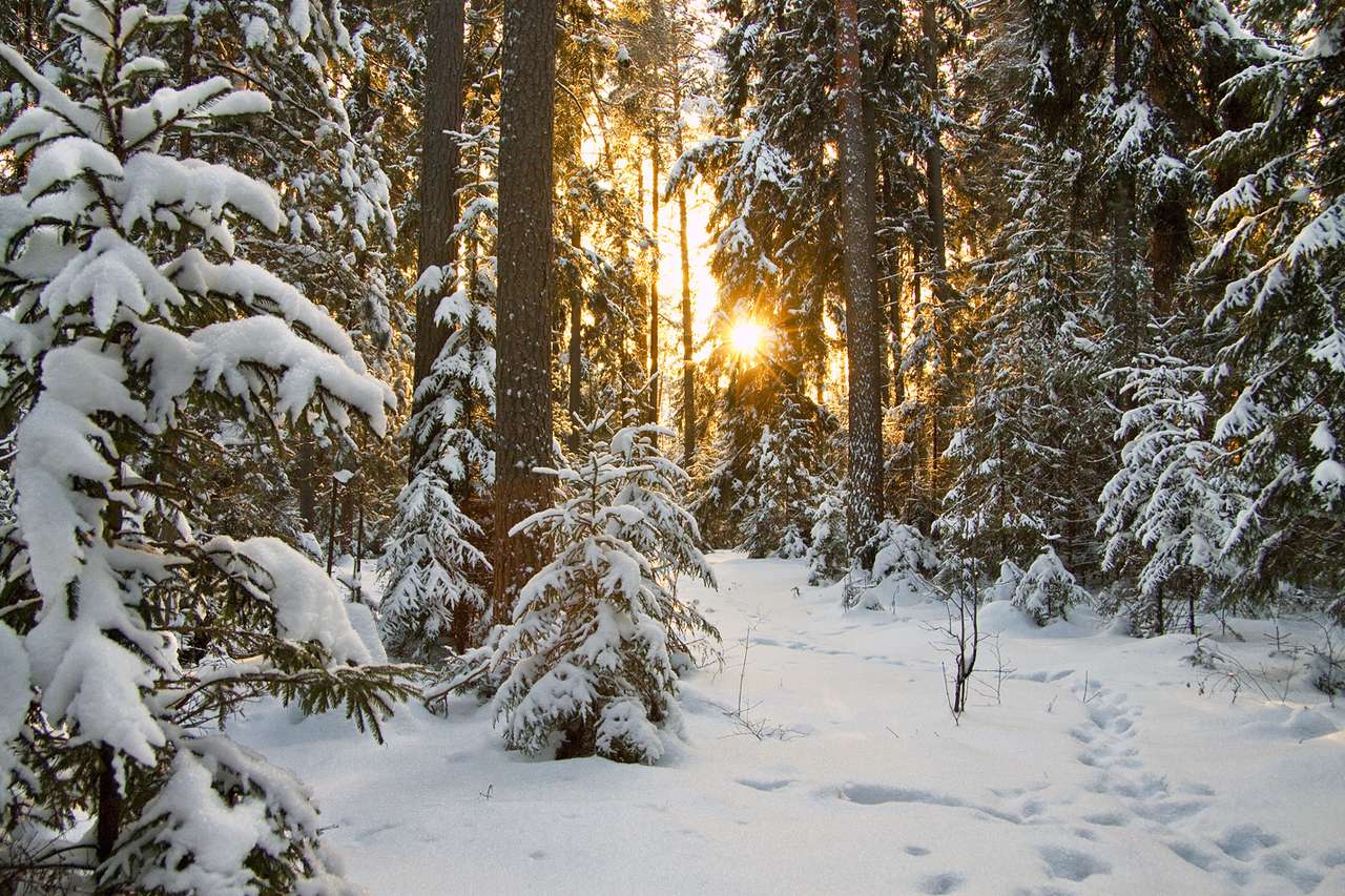 zima v lese skládačky online