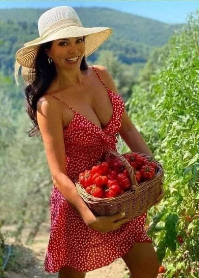 beautiful girl in the harvest jigsaw puzzle online