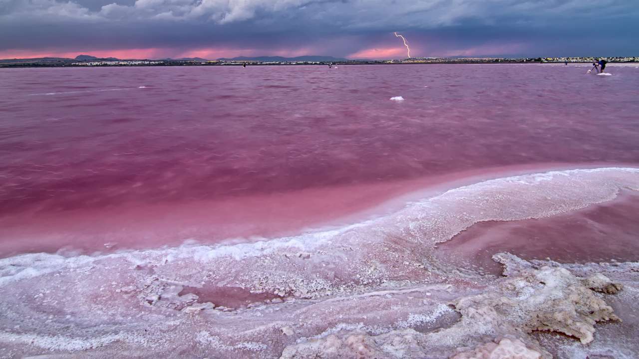 roze zoutmeer legpuzzel online