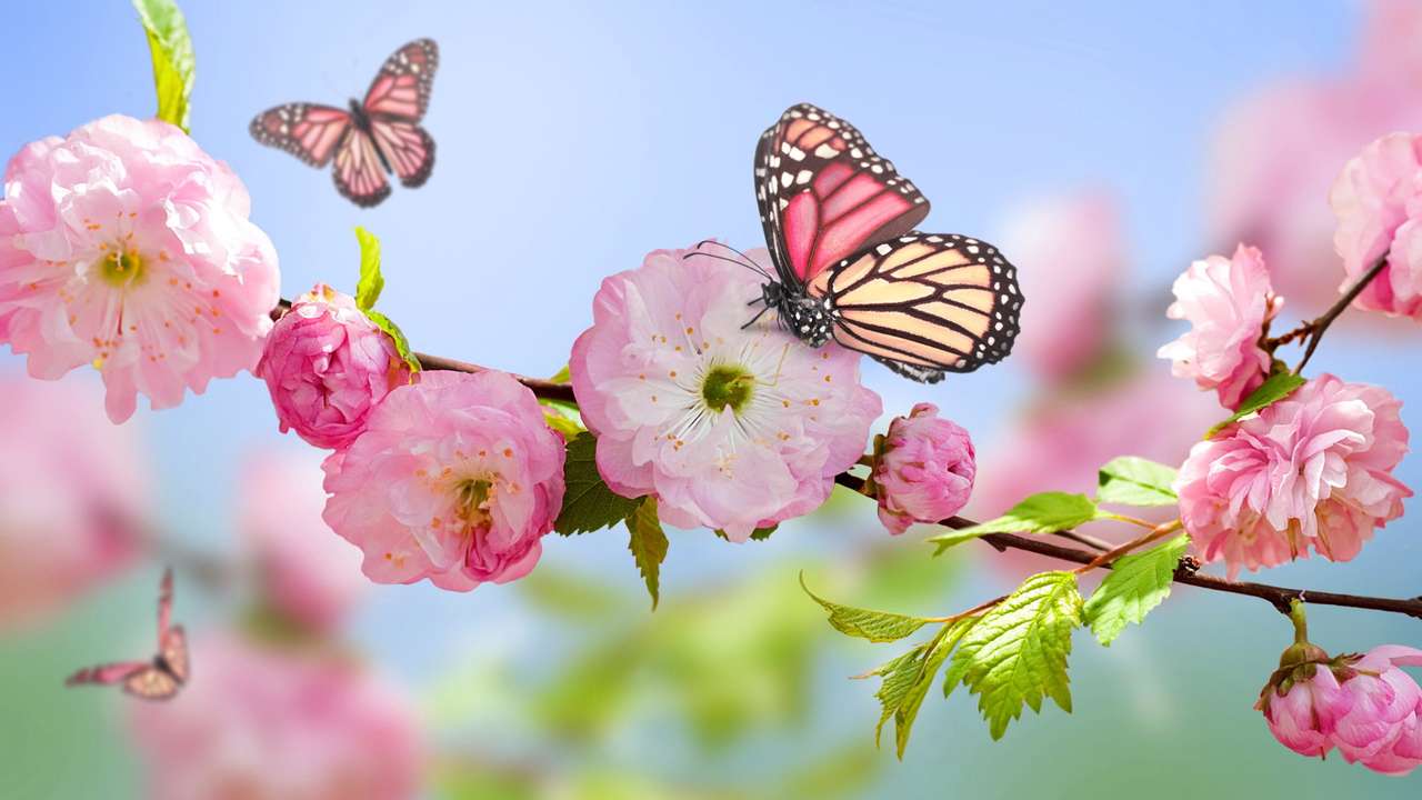 Fluturi frumoși pe flori roz puzzle online