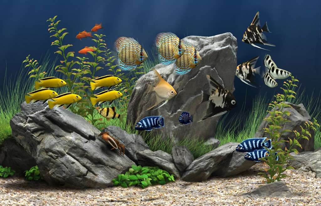Рибки в акваріумі пазл онлайн