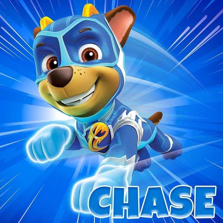 Chase az ügyben online puzzle