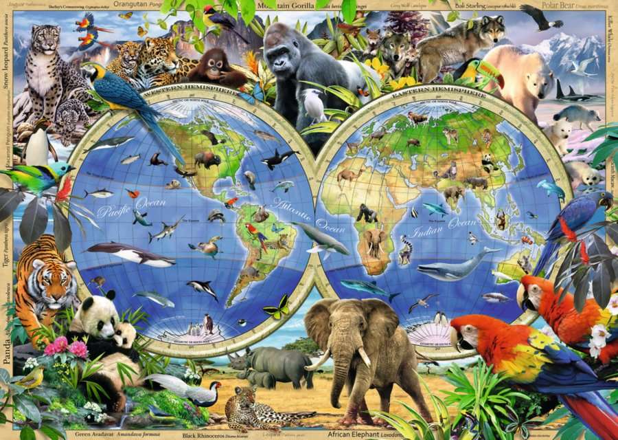 világ állatai online puzzle