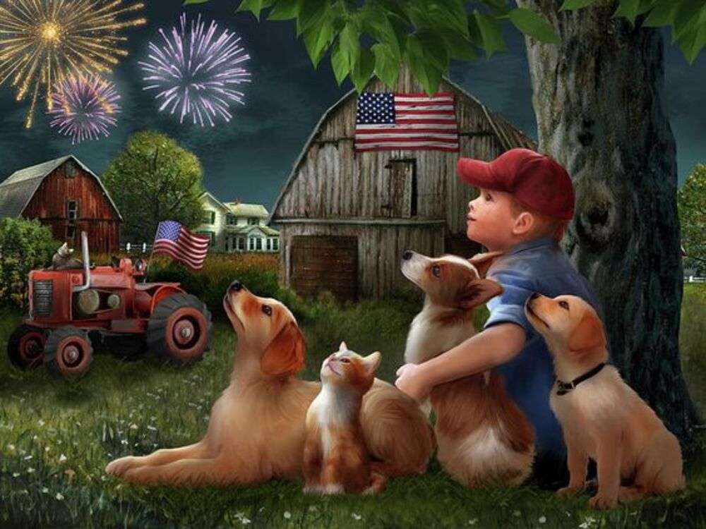 jongen met puppy's die naar vuurwerk kijken legpuzzel online