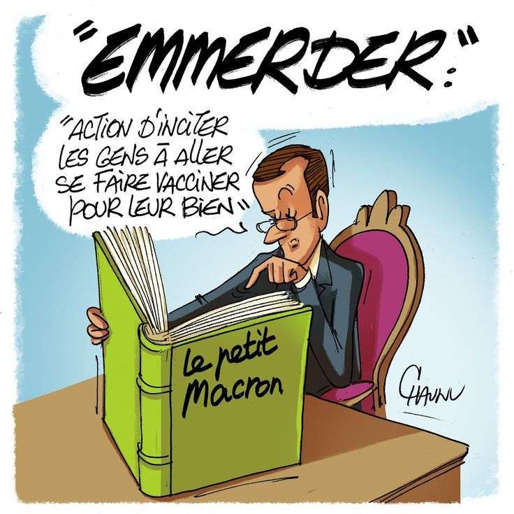 Речник "Le Petit Macron": ядосвам онлайн пъзел