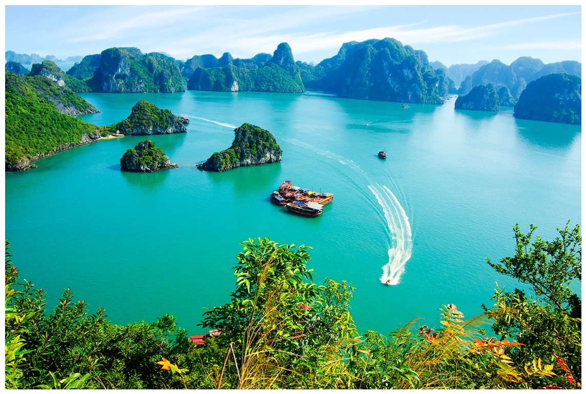 Приказен Виетнам - флора и фауна онлайн пъзел