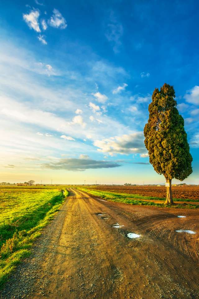 Landsväg och cypressträd Pussel online