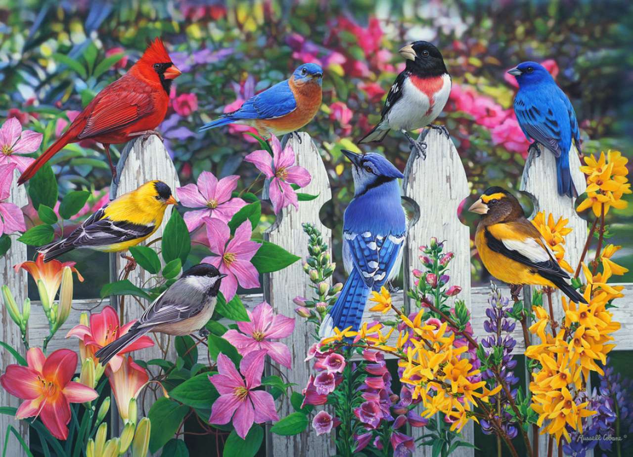 păsări cântătoare jigsaw puzzle online