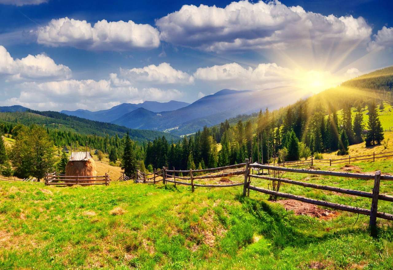 Morning over the pasture jigsaw puzzle online