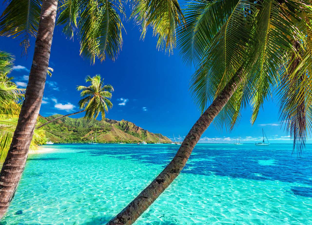 Tropische eilanden legpuzzel online