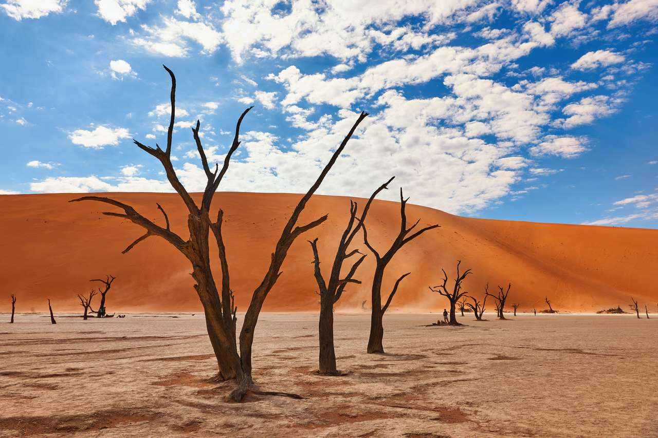 Désert du Namib puzzle en ligne
