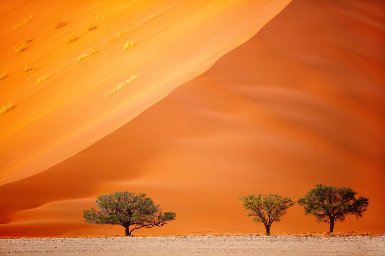 Sossusvlei in Namibia puzzle online