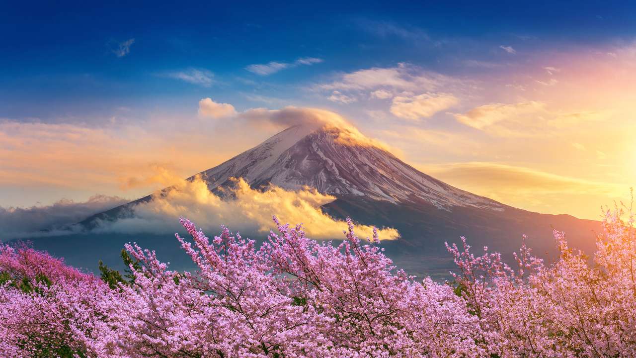 Montagna Fuji e fiori di ciliegio in primavera, Giappone. puzzle online